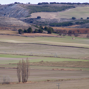 Adri Cerrato