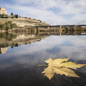 Ciudad Rodrigo