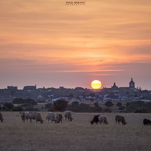 Ciudad Rodrigo<