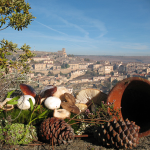 Comunidad Villa y Tierra de Sepúlveda