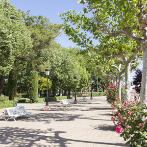 Benavente