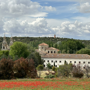 La Santa Espina