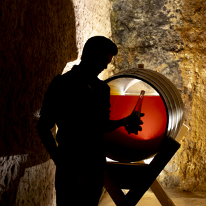 Bodega de Alberto